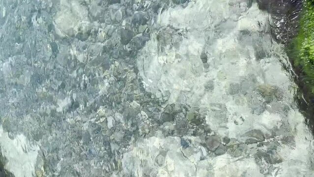 clear sea water and stones - Vertical stock video