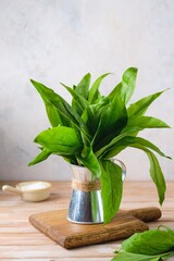 A bunch of wild garlic in a metal jug on a wooden background. Edible wild plants concept
