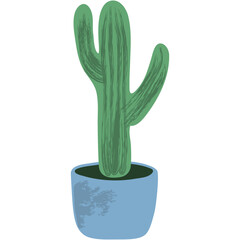Plants in pot vector cactus flowerpot illustration
