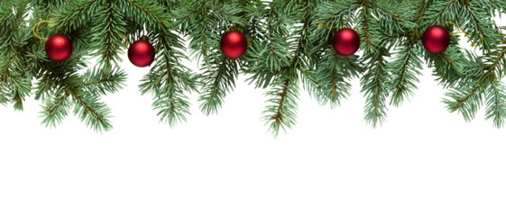 Christmas tree branches with red balls in PNG isolated on transparent background, border