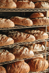 Various kind of bread with wheat top view. White bakery food concept panorama or wide banner photo.