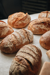 Various kind of bread with wheat top view. White bakery food concept panorama or wide banner photo.