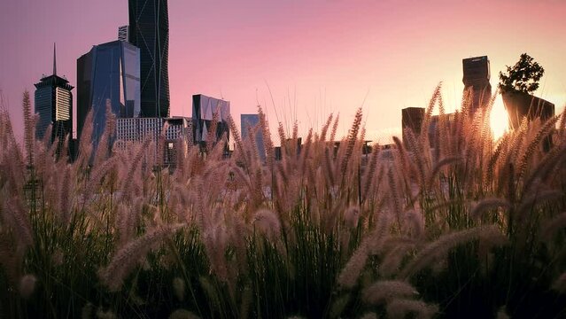 Sunset over large buildings equipped with the latest technology, King Abdullah Financial District, in the capital, Riyadh, Saudi Arabia