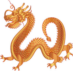 Traditional golden red chinese dragon. Zodiac sign. Sacred animal, a symbol of goodness and power. Asian, japanese mascot and tattoo or T-shirt vector illustration.