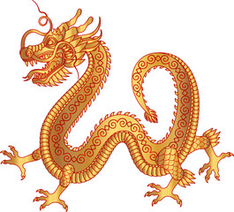 Traditional golden red chinese dragon. Zodiac sign. Sacred animal, a symbol of goodness and power. Asian, japanese mascot and tattoo or T-shirt vector illustration.