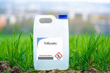 Trifluralin  pre-emergent herbicide used to control annual grasses and broadleaf weeds.