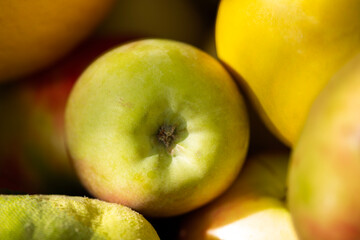 pile of apples in golden sunlight indoors