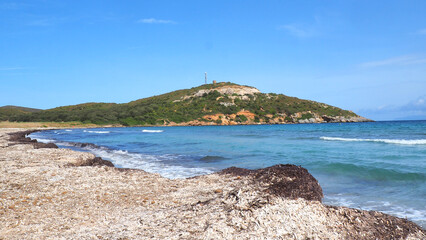 Fototapeta na wymiar panoramic view of Rogliano beach dominated by a Genoese tower near Cap Corse, in Corsica nicknamed the island of beauty