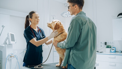 Male Dog Parent Brings His Furry Companion to a Contemporary Veterinary Clinic for a Check Up...