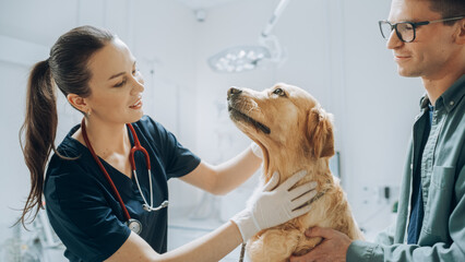 At a Modern Vet Clinic: Golden Retriever Sitting on Examination Table as a Female Veterinarian Assesses the Dog's Health. Handsome Dog's Owner Helps to Calm Down the Pet and Talks with the Doctor - obrazy, fototapety, plakaty