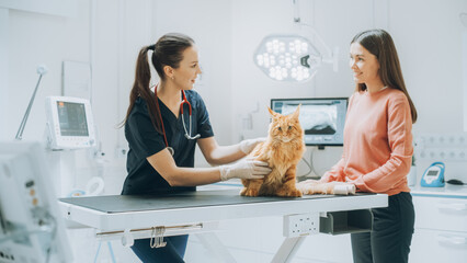 Young Beautiful Female Holding Pet at Doctor's Appointment at a Modern Veterinary Clinic. Red Maine...