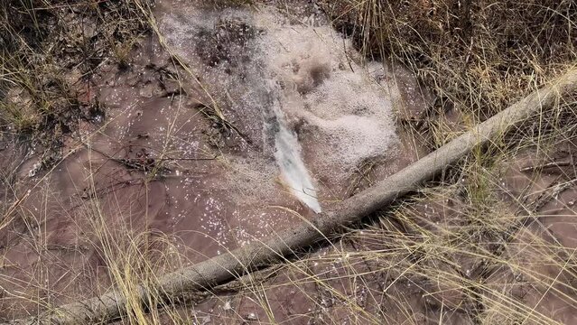A broken fire hose and the water coming out