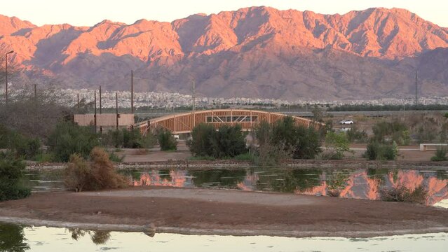 Water Pond at Eilat Ornithological Park At Sunset With Jordan Red Mountains in Background
