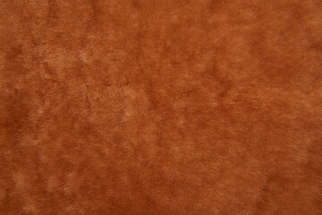 Textur Fell und Pelz.