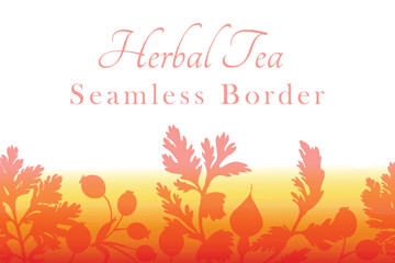 Isolated seamless border with the garden flowers