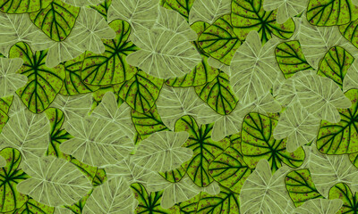 Green  tropical  leaves spring nature wallpaper background