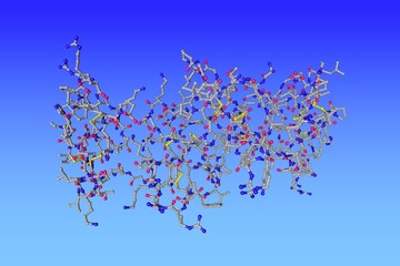 Human beta-defensin-2. Molecular model on blue background. Rendering based on protein data bank entry 1fd3. Scientific background. 3d illustration