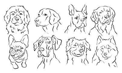 Sketch dogs line art vector