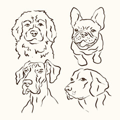 Sketch dogs line art vector