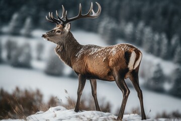 A deer species standing on top of snow. Generative AI