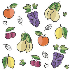Seamless pattern of colored fruits on a white background
