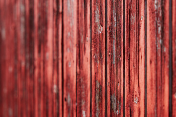 Obraz premium old red barn wood panel red paint texture that is flaking off low depth of field