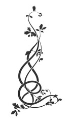 element weaving plant oak with acorns. vector new