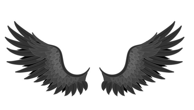 black bird wings Angel and demon. vector image new