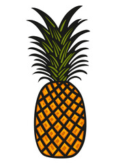 Pineapple tropical fruit icon isolated