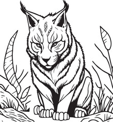 Coloring page - Lince