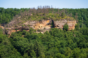The Red River Gorge Geological Area in Kentucky