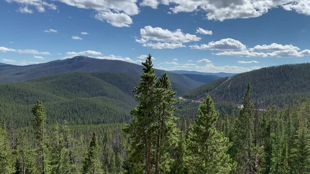 Monarch Pass with Fir Forest on US 50 along the Loneliest Road in America on Highway 50 West - Route 50 across the United States