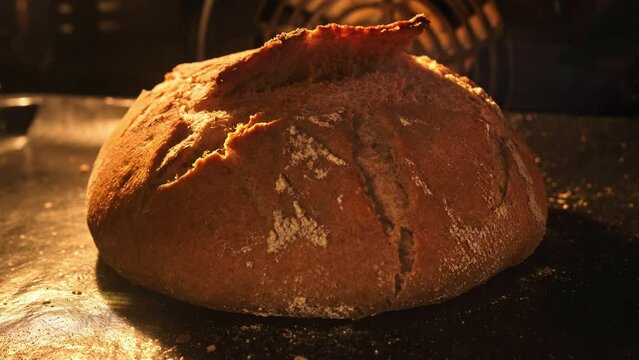 Organic bread baking in oven. Homemade fresh bread. Timelapse. Loaf is raised and baked. Baker bakes food at bakery. Food concept. Close-up in 4K, UHD