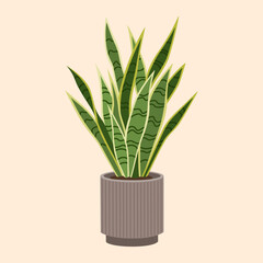Green sansevieria in flowerpot. Trendy houseplant, for interior decoration. Hand drawn vector illustration isolated on light background. Modern flat cartoon style.