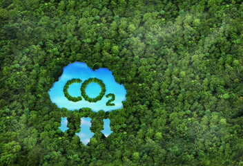 Concept depicting the issue of carbon dioxide emissions and its impact on nature in the form of a pond in the shape of a co2 symbol located in a lush forest.
