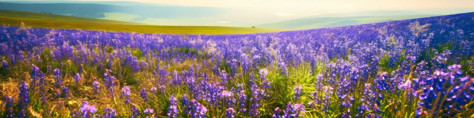 Fototapeta premium beautiful field of bluebell, spring, summer, flowers, generative ai