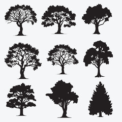 Fototapeta premium Different type trees silhouette vector illustration set. set of trees silhouettes
