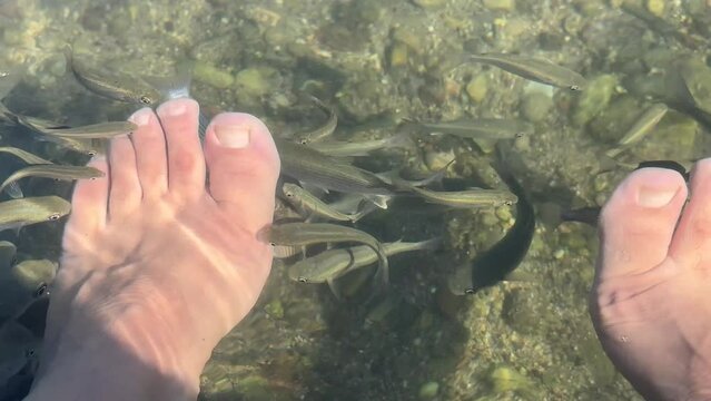 It is a source of healing for skin and different diseases with foot massages of fish in water.