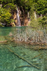 Turquoise lake in Plitvice national park - Croatia