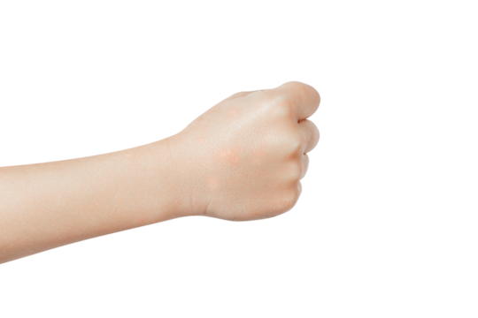 Fist of Unity: Powerful Hand Gesture Symbolizing Strength, Resistance and Social Justice