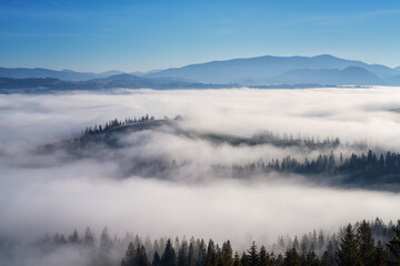 Scenic view of the mountains over a clouds, amazing misty landscape with mountain range, fir forest and blue sky, natural outdoor travel background