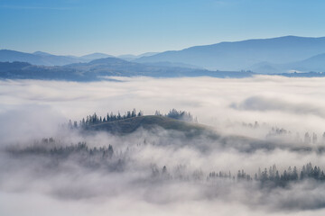 Scenic view of the mountains over a clouds, amazing misty landscape with mountain range, fir forest and blue sky, natural outdoor travel background