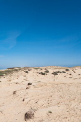 Fototapeta na wymiar Amazing sandy beach in France
