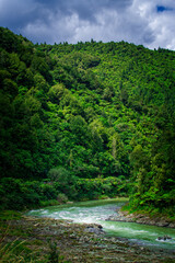 Fast river flowing in a rocky riverbed at the bottom of Waioeka Gorge, North Island, New Zealand
