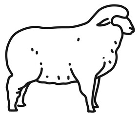 Sheep line icon. Lamb symbol. Farm animal