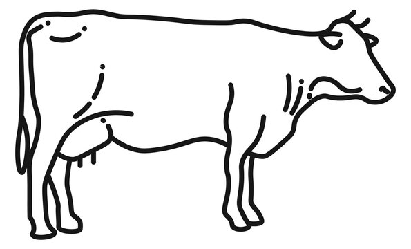 Cow line icon. Cattle symbol. Farm sign