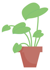 Houseplant in flowerpot. Green plant. House decoration icon