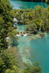 Naklejka na ściany i meble Turquoise lake in Plitvice national park - Croatia