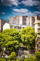 Naklejka premium The modern architectural complex next to West Lake Park in Changsha, Hunan, China was photographed at West Lake Park in Yuelu District, Changsha City.