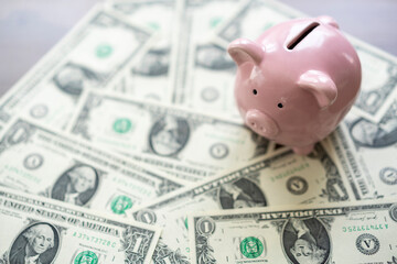 Pink piggy bank on banknote background